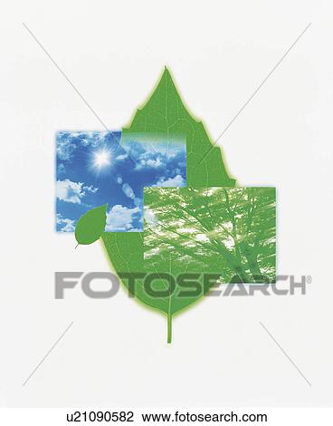 Stock Image - Composite of sky, tree and leaf. Fotosearch