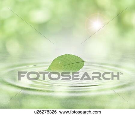Computer Graphic Image of Leaf and water ripples View Large Photo Image Stock Photograph - Computer Graphic Image of Leaf and water ripples. Fotosearch