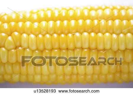 Stock Image - Corn, close up, white background. Fotosearch