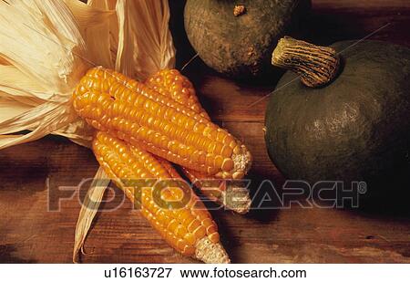 Stock Photo - Corns and pumpkins. Fotosearch