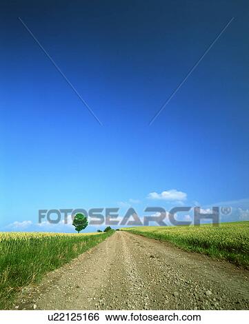 Stock Photograph - Country road with fields and sky. Fotosearch