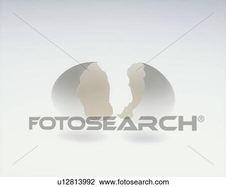 Cracked egg, white background View Large Photo Image Stock Image - Cracked egg, white background. Fotosearch