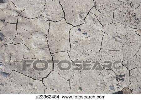 Cracked Ground. Japan View Large Photo Image Picture - Cracked Ground. Japan. Fotosearch