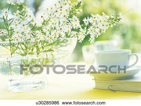Daisies in a glass bowl next to a coffee cup and book View Large Photo Image Stock Photograph - Daisies in a glass bowl next to a coffee cup and book. Fotosearch