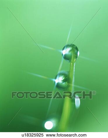 Stock Photography - Dew on a blade of grass. Fotosearch