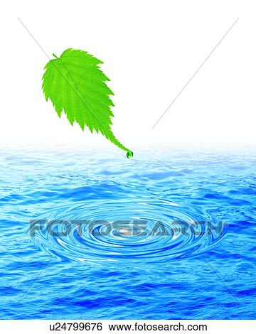 Stock Photograph - Digital composite of leaf and water drop. Fotosearch