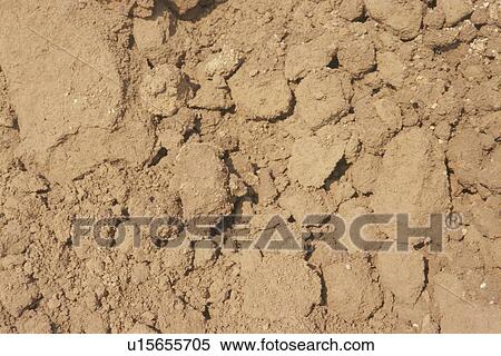 Dirt Ground. Setagaya-ku, Tokyo, Japan View Large Photo Image Stock Photography - Dirt Ground. Setagaya-ku, Tokyo, Japan. Fotosearch