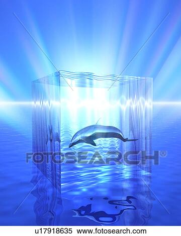 Stock Photography - Dolphin in transparent cube over water. Fotosearch