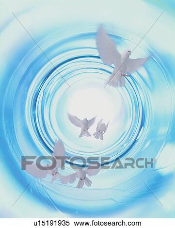 Stock Photography - Doves flying in abstract blue circles. Fotosearch