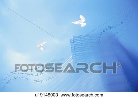 Doves flying in city sky with mathematical equation View Large Photo Image Stock Image - Doves flying in city sky with mathematical equation. Fotosearch