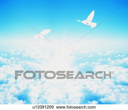 Stock Photo - Doves flying in the sky. Fotosearch
