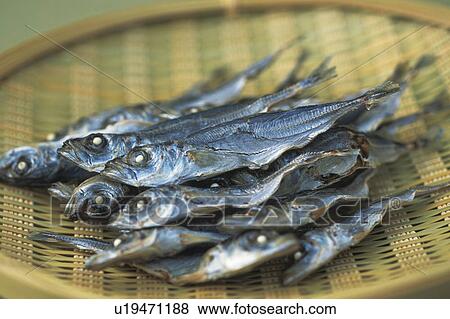 Stock Photo - Dried fish on colander, close up. Fotosearch
