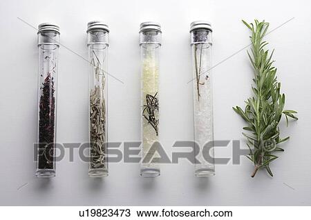 Stock Image - Dried herbs in bottles, white background. Fotosearch