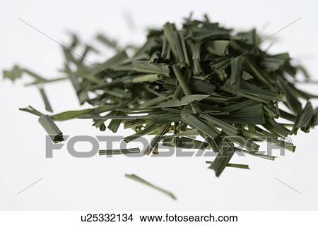 Dried lemon grass, close up, white background View Large Photo Image Picture - Dried lemon grass, close up, white background. Fotosearch