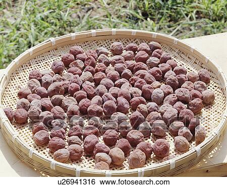 Stock Photograph - Dried plums. Fotosearch