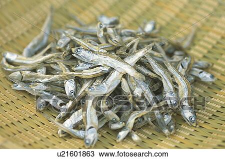 Dried Small Sardine View Large Photo Image Stock Image - Dried Small Sardine. Fotosearch