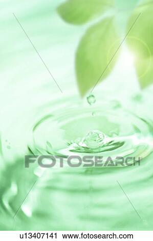Stock Image - Droplet dropping into water and leaves. Fotosearch