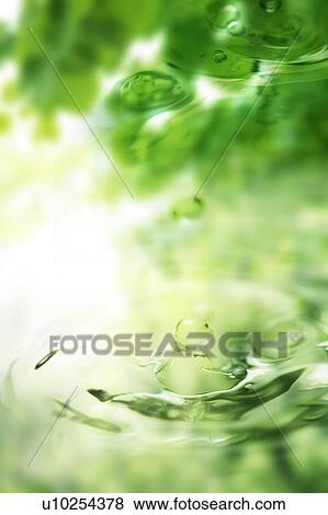Droplet dropping into water and leaves View Large Photo Image Stock Photo - Droplet dropping into water and leaves. Fotosearch