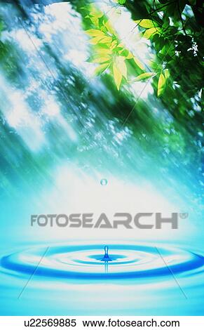 Stock Photography - Droplet in water with trees overhead. Fotosearch