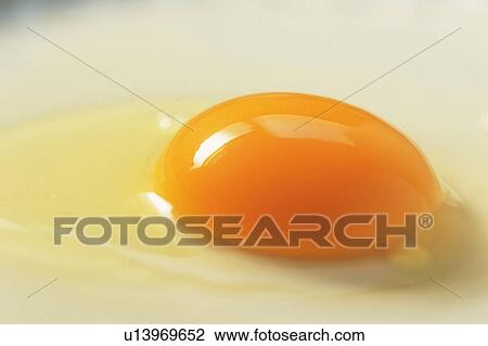 Stock Image - Egg, close up. Fotosearch