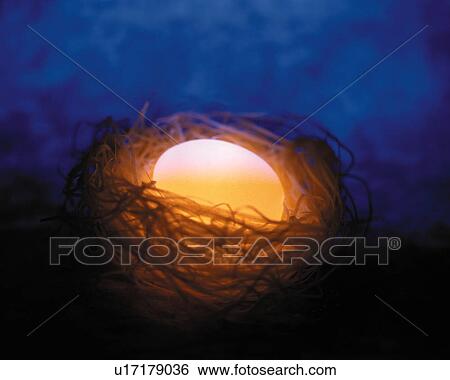 Egg in nest Illuminated, long exposure View Large Photo Image Stock Photograph - Egg in nest Illuminated, long exposure. Fotosearch