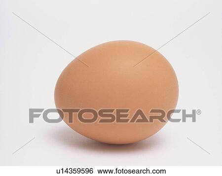 Stock Photograph - Egg. Fotosearch