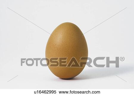 Egg, white background View Large Photo Image Stock Photography - Egg, white background. Fotosearch
