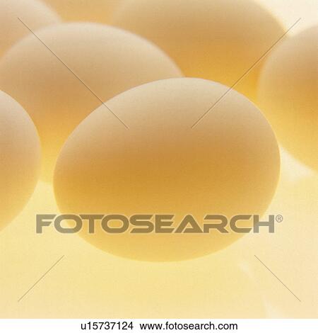 Picture - Eggs. Fotosearch