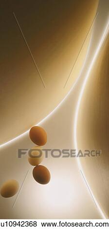 Eggs View Large Photo Image Stock Photo - Eggs. Fotosearch