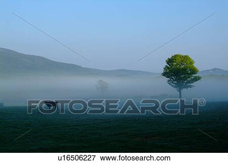 Farm in the morning View Large Photo Image Stock Photo - Farm in the morning. Fotosearch