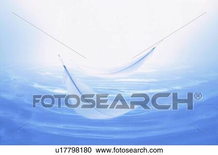Stock Image - Feathers floating on blue water. Fotosearch