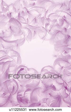 Feathers View Large Photo Image Stock Image - Feathers. Fotosearch