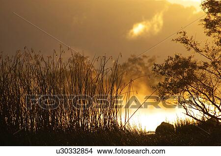 Picture - Field in sunrise, Kitashiobara village, Fukushima prefecture, Japan. Fotosearch