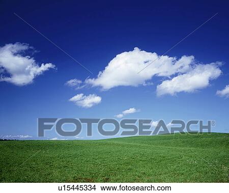 Field under blue sky, Biei town, Hokkaido prefecture, Japan View Large Photo Image Picture - Field under blue sky, Biei town, Hokkaido prefecture, Japan. Fotosearch
