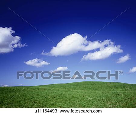 Stock Image - Field under blue sky, Biei town, Hokkaido prefecture, Japan. Fotosearch