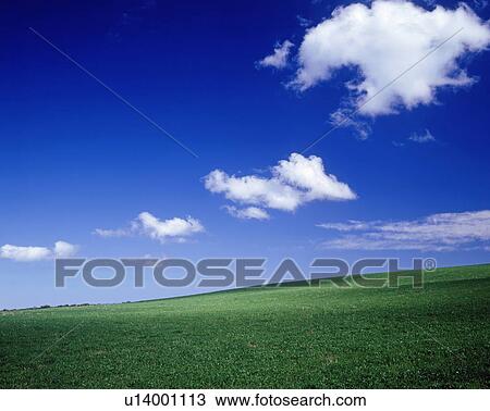 Stock Image - Field under blue sky, Biei town, Hokkaido prefecture, Japan. Fotosearch