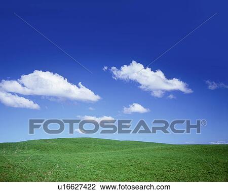 Stock Image - Field under blue sky, Biei town, Hokkaido prefecture, Japan. Fotosearch