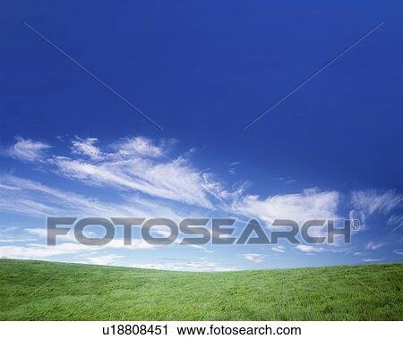 Stock Image - Field under blue sky, Biei town, Hokkaido prefecture, Japan. Fotosearch