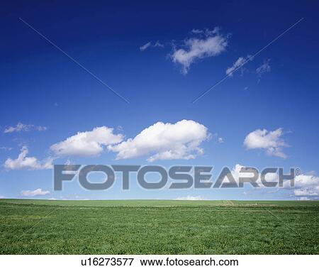 Field under blue sky, Biei town, Hokkaido prefecture, Japan View Large Photo Image Stock Photo - Field under blue sky, Biei town, Hokkaido prefecture, Japan. Fotosearch