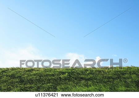 Stock Image - Field under blue sky, copy space. Fotosearch