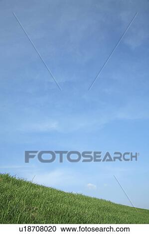 Field under blue sky, copy space, Tokyo prefecture, Japan View Large Photo Image Stock Image - Field under blue sky, copy space, Tokyo prefecture, Japan. Fotosearch