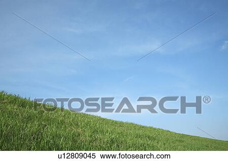 Field under blue sky, copy space, Tokyo prefecture, Japan View Large Photo Image Stock Photography - Field under blue sky, copy space, Tokyo prefecture, Japan. Fotosearch