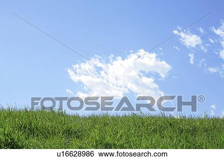 Stock Photograph - Field under blue sky, Tokyo prefecture, Japan. Fotosearch