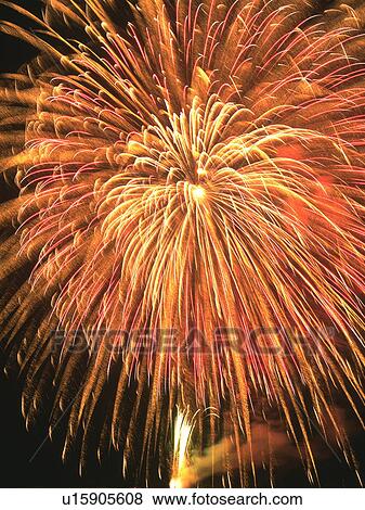 Stock Photo - Firework exploding in sky, black background, long exposure, Mine city, Yamaguchi prefecture, Japan. Fotosearch