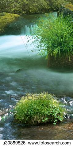 Flow View Large Photo Image Stock Photograph - Flow. Fotosearch