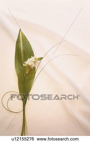 Flower and leaf arrangement View Large Photo Image Stock Photograph - Flower and leaf arrangement. Fotosearch