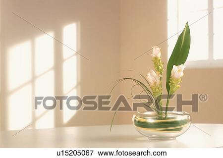 Flower arrangement in sunny room View Large Photo Image Stock Photo - Flower arrangement in sunny room. Fotosearch