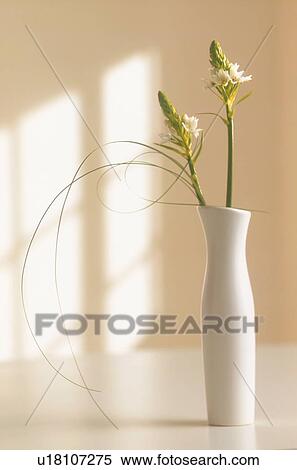 Stock Photography - Flower arrangement on table in house. Fotosearch