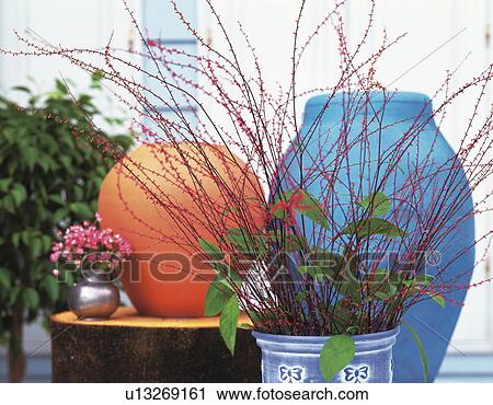Flower pots and vases View Large Photo Image Stock Image - Flower pots and vases. Fotosearch