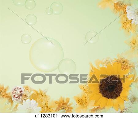Stock Image - Flowers and bubbles together. Fotosearch